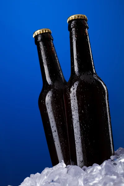 Två flaskor öl — Stockfoto