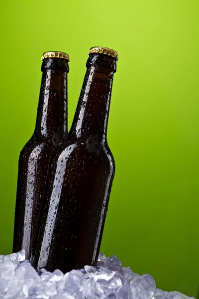 Két üveg sör. — Stock Fotó