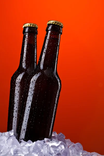 Две бутылки пива — стоковое фото