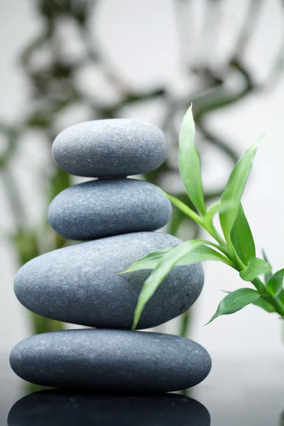 Massage stones with bamboo — Stock Photo, Image