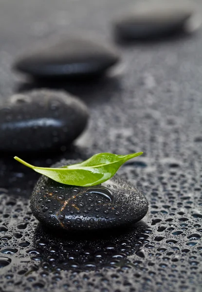 Massage stones with leaf — Stock Photo, Image