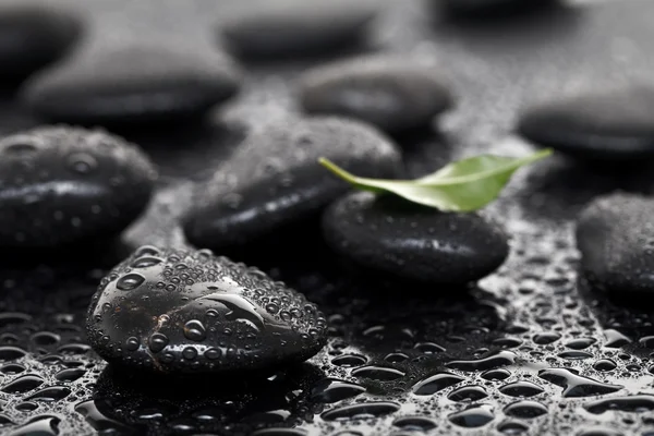 Massage stenar med blad — Stockfoto