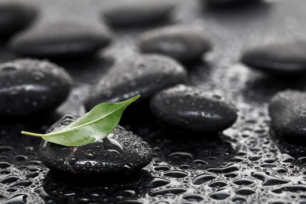 stock image Massage stones with leaf