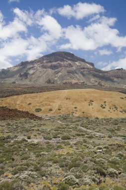 milli park teide manzara