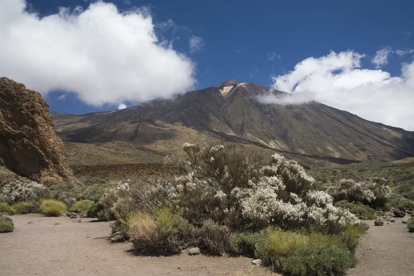 Teide wulkaniczny — Zdjęcie stockowe