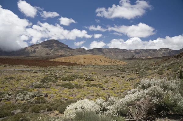 Landscape in national park Teide — Stock Photo, Image