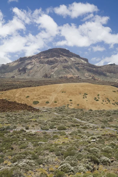 Krajobraz w park narodowy teide — Zdjęcie stockowe