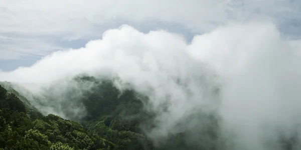 stock image Landscape in national park Anaga