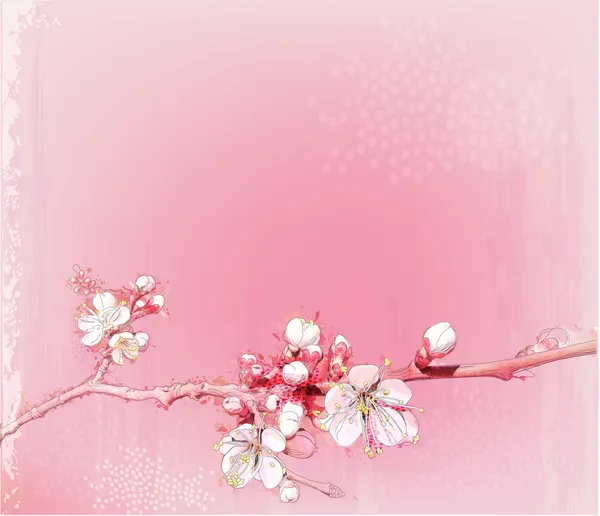 Japanische Kirsche blüht in voller Blüte — Stockvektor
