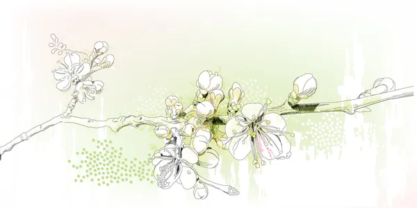 Flores de cerezo en plena floración — Archivo Imágenes Vectoriales