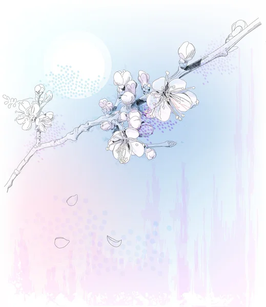 Цветение сакуры в полном расцвете — стоковый вектор