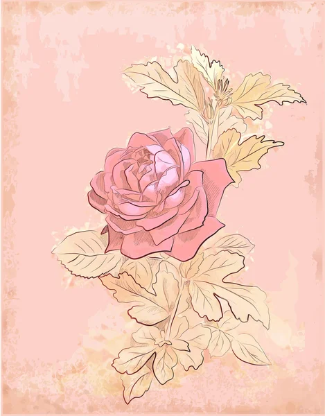 Rose rouge vintage — Image vectorielle