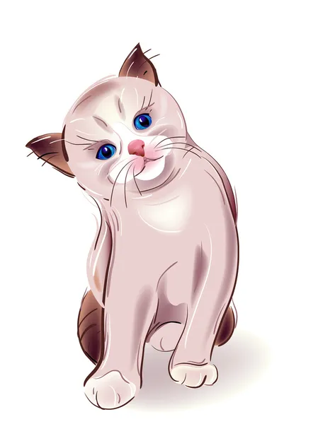 Ritratto disegnato a mano di gattino dagli occhi azzurri. Gattino tailandese si — Vettoriale Stock