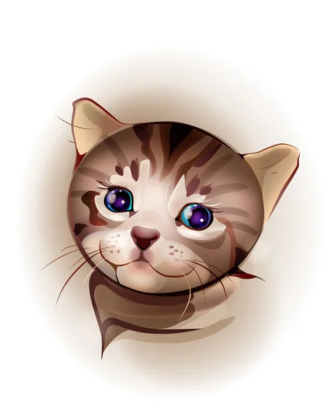 小猫咪 — 图库矢量图片