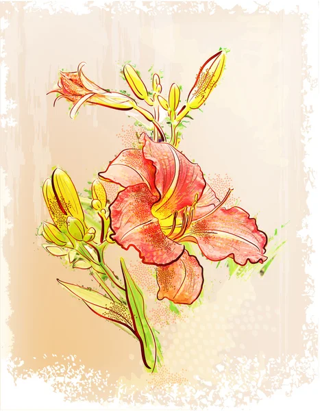 Styl Vintage. ilustracja czerwony lilia — Wektor stockowy