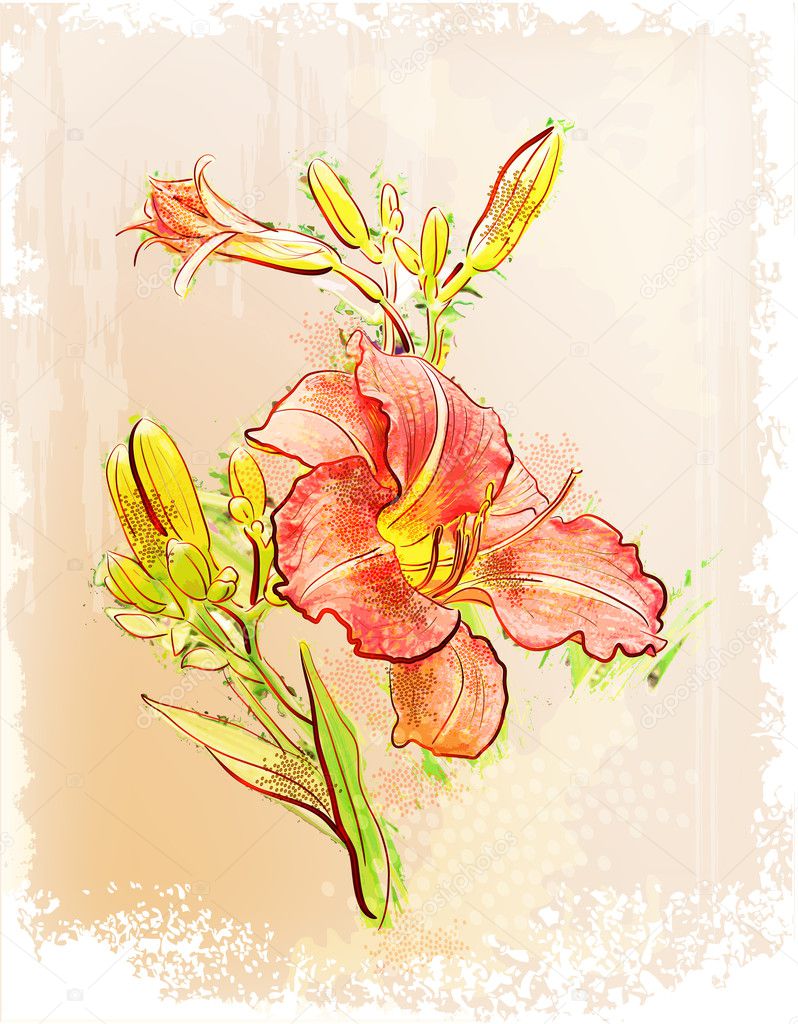 Vintage style. Illustration of red lily
