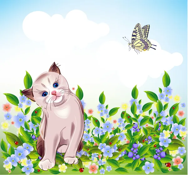 Mavi gözlü küçük kedi yavrusu, çayır — Stok Vektör