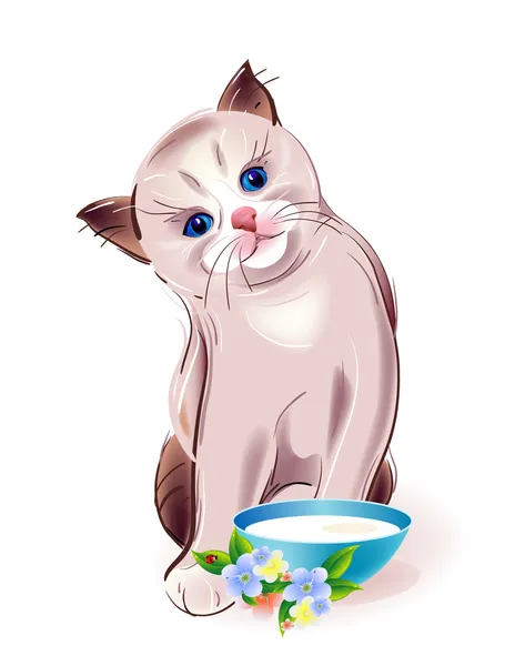 Mangiare gattino tailandese — Vettoriale Stock