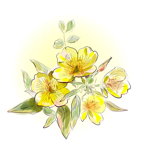 Желтые полевые цветы — стоковый вектор
