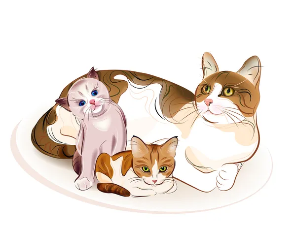 Katten familie. katten en kittens. — Stockvector