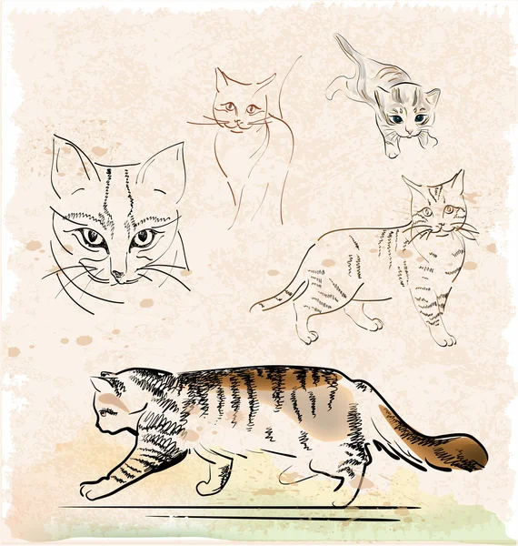 Vintage set of outline cats — Stock Vector
