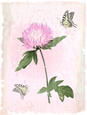 Pink aster flower clipart