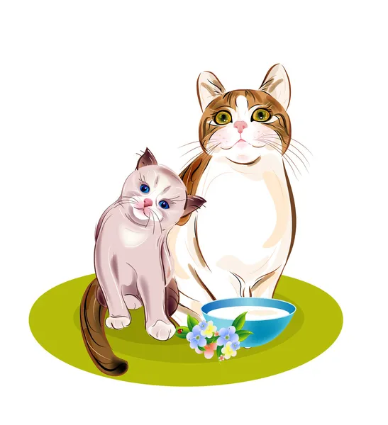 Kočky rodina. kočka a kotě bude jíst. — Stockový vektor