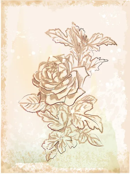 Croquis vintage de rose dessiné à la main — Image vectorielle