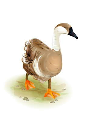 Walking domestic goose.Watercolor style clipart