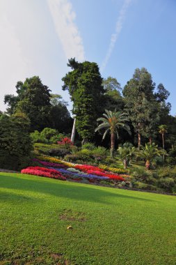 parkta harika çiçek