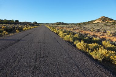 Amerikan yol çöl