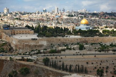 Magnificent panorama of Jerusalem clipart