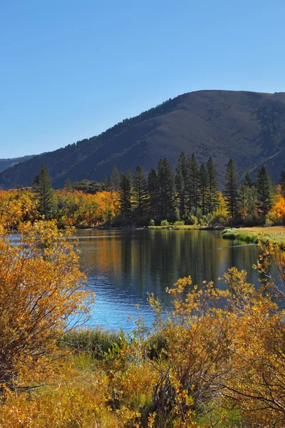The autumn on Northern lake — Stock Photo, Image