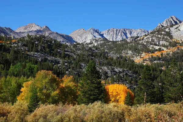 Magnífico outono multicolorido nas montanhas — Fotografia de Stock