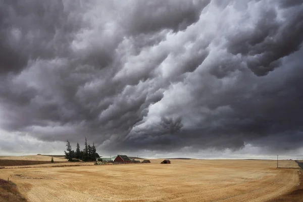 De onweerswolk op velden — Stockfoto