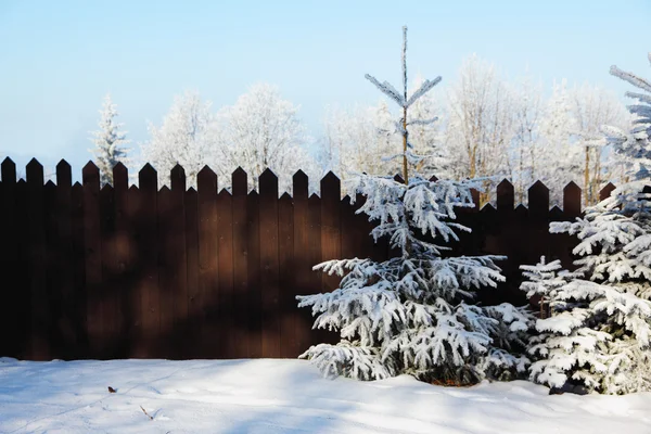 Fairytale fence and trees in the snow — Stock Photo, Image