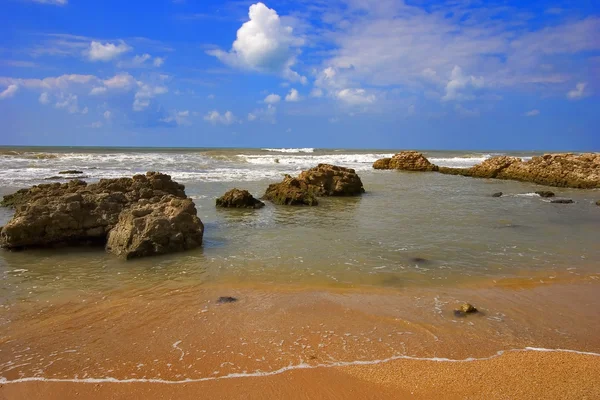 stock image Stony beach.