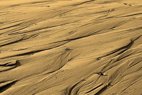 Nedves homok — Stock Fotó