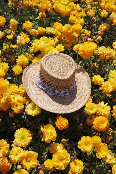 Elegancki kapelusz słomkowy jest pozostawione przez turystów — Zdjęcie stockowe
