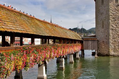 Flowers bridge clipart