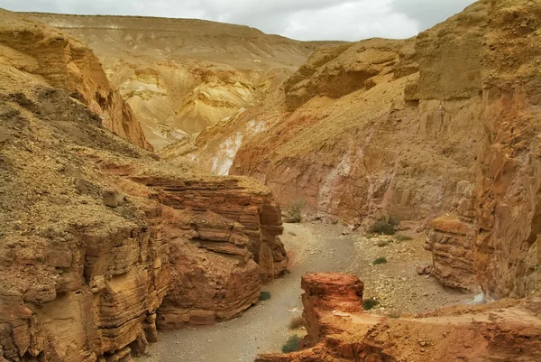 Выход из Красного каньона — стоковое фото