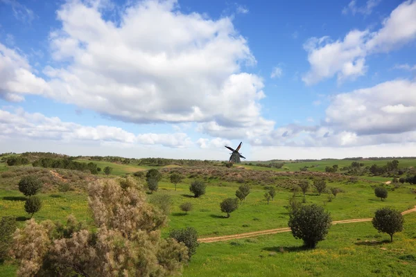 Pintoresco molino de viento en el horizonte — Foto de Stock