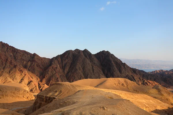 Winter morning in desert Sinai — Stock Photo, Image