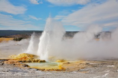 geysers ve sıcak yellowstone kaynaklarında