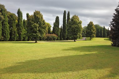 Huge yellowed field in park Sigurta clipart