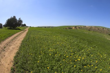 toprak kırsal yol alan aracılığıyla