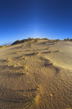 dunes üzerinde bir gün batımı