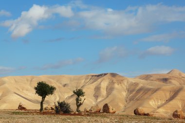 gün judean Desert