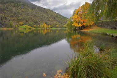 sonbahar yağmur.