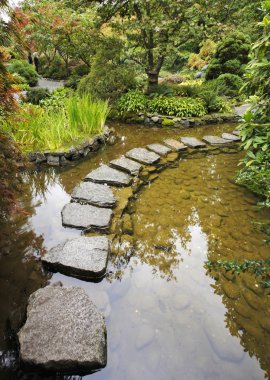 Traditional Japanese garden. A stream